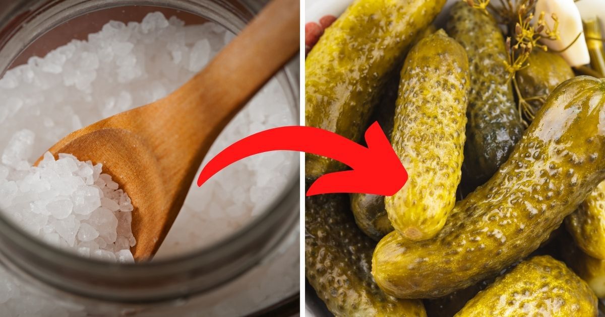 Jaka jest najlepsza sól do kiszenia ogórków? Zasada jest jedna i niezmienna