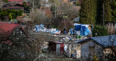 Czy można przebywać na terenie ogródków działkowych w czasie pandemii? Polski Związek Działkowców zabrał głos