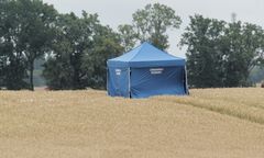 Katastrofa MIG-29. Wrak będzie zabrany na początku tygodnia