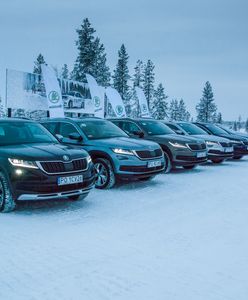 Samochody Skody z napędem 4x4 na kole podbiegunowym