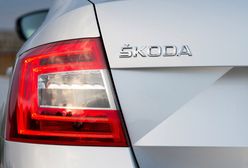 Skoda chce sprzedawać tani samochód w Indiach. Będzie różnić się od europejskich modeli