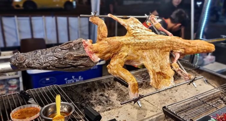 Krokodyl w Tajlandii. Fot. Izabela Nestioruk-Narojek