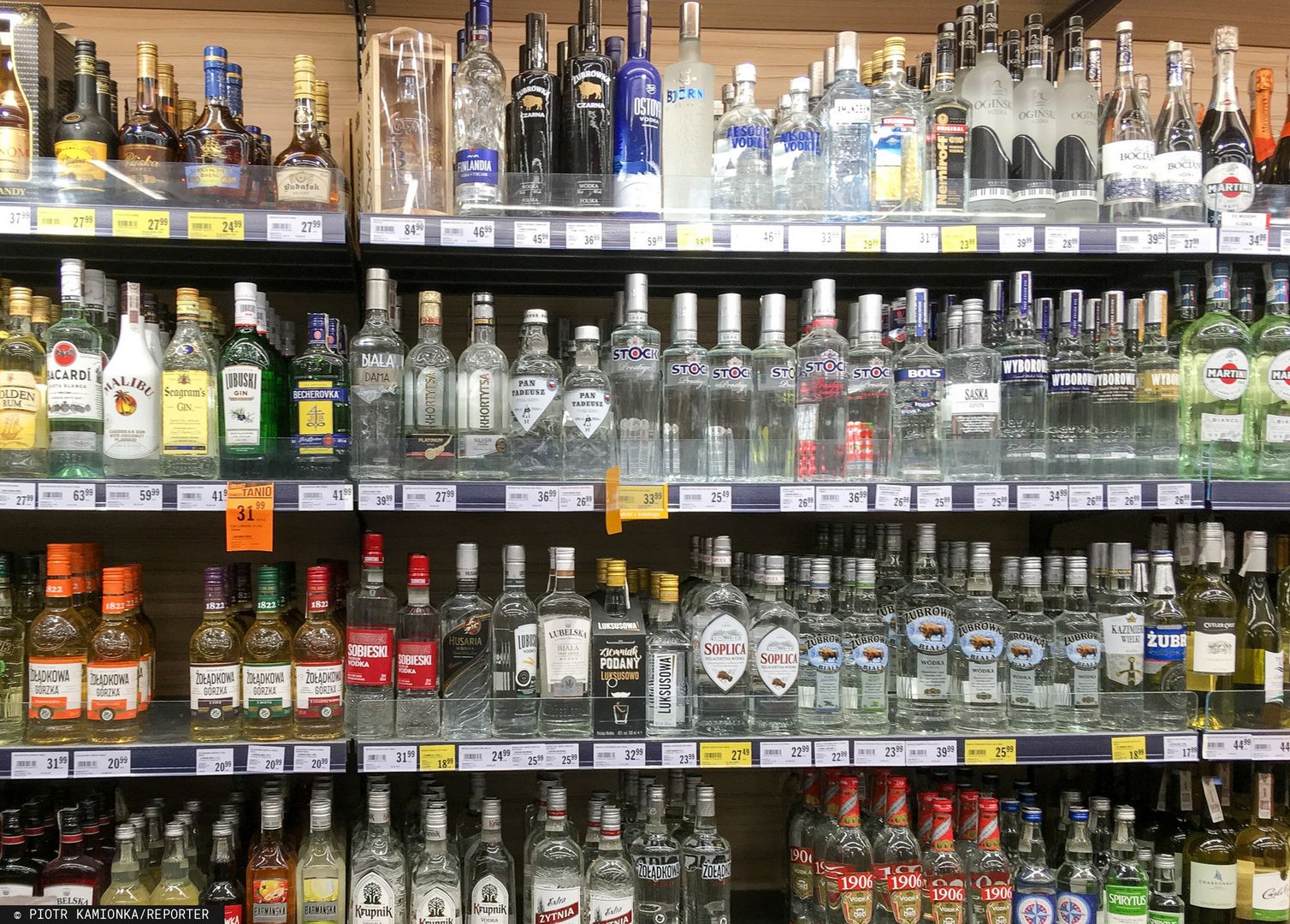 Budżet może stracić na podniesieniu akcyzy na alkohol. Eksperci: To dość realny scenariusz