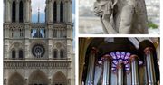 Tego mogliście nie wiedzieć o katedrze Notre-Dame. 8 ciekawostek i ważnych informacji