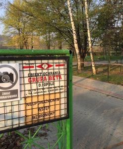 Strajk nauczycieli. W szkole Zalewskiej grożą policją, na płocie "zakaz fotografowania"