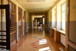 Wybory parlamentarne 2019. Prezes Fundacji Rodzice Szkole wykorzystał bazę adresów, by agitować za PiS