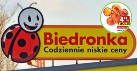 Biedronka rozpieszcza klientów na początku roku szkolnego. Nikt nie wyjdzie ze sklepu z pustymi rękoma