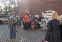 Upadek konia pod Wawelem. Miasto zabiera głos i publikuje film