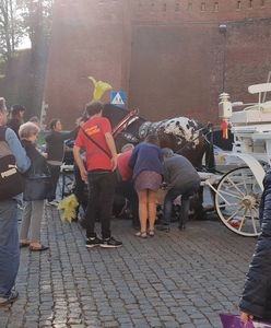 Upadek konia pod Wawelem. Dramatyczny widok