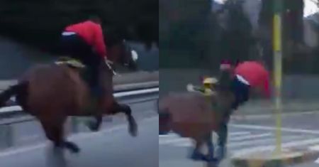 Tragiczny finał nielegalnego treningu. Na tym zarabia mafia