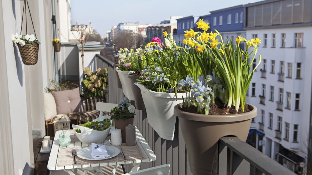 Mały balkon można zagospodarować kwiatami