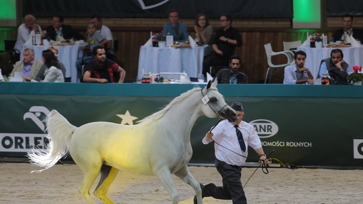 Stadnina w Michałowie zanotowała w ostatnim czasie bardzo słabe wyniki