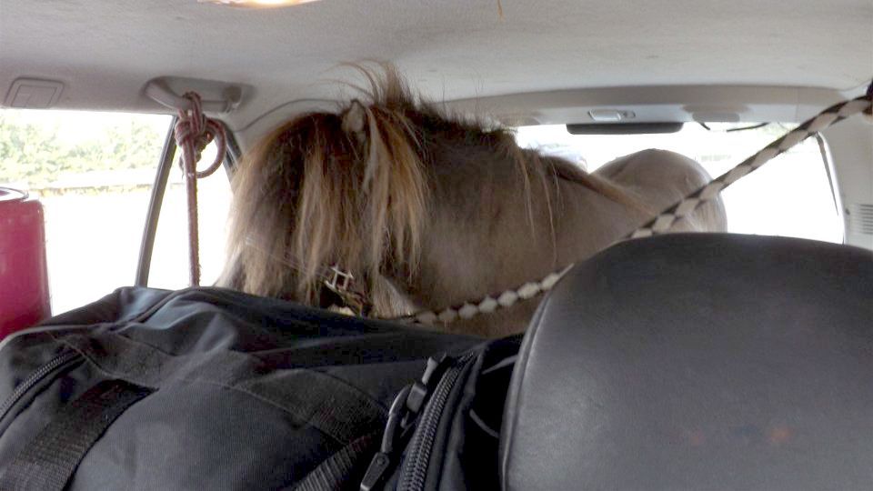 Zdjęcie z miejsca zdarzenia