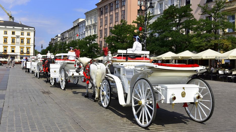 Władze miasta sprawdzają wpływ upałów na konie dorożkarskie