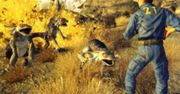 Fallout: New Vegas - kolejne informacje