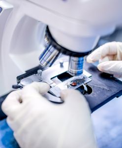 Quiz gimnazjalny z Operonem i Wirtualną Polską - biologia