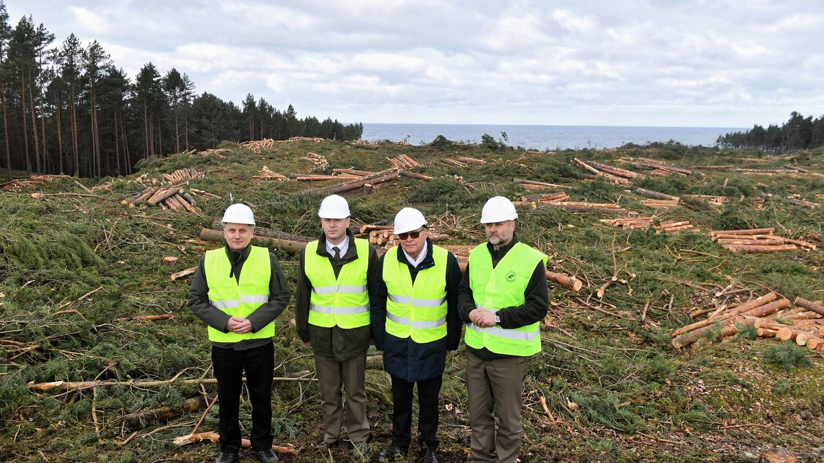 Skowronki, 20.02.2019. Polscy oficjele pozują w miejscu wycinki pod planowany przekop Mierzei Wiślanej.