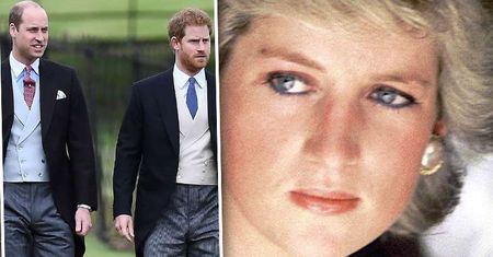 Nowy członek w rodzinie książąt Williama i Harry'ego! Księżna Diana nikomu o nim nie mówiła