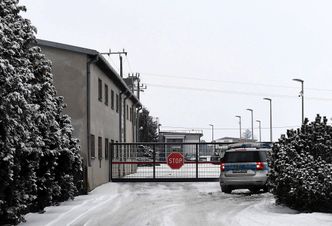 Afera mięsna. Podejrzana wołowina z Polski trafiła do szkół i przedszkoli w Sztokholmie. Dzieci już ją zjadły