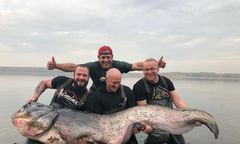 Sum z Zalewu Rybnickiego rekordem Polski. Nagranie z połowu