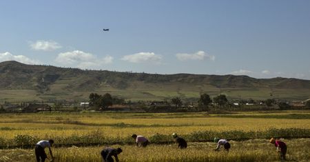 Kim Dzong Un nie przyjął pomocy. Ogrom tragedii w Korei Płn. ukazują zdjęcia satelitarne