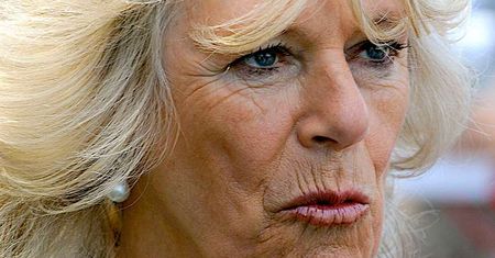 Jeden ruch i doszłoby do katastrofy! Księżna Camilla nawet w bardzo niezręcznej sytuacji zachowała wielką klasę. Dowodem są te zdjęcia