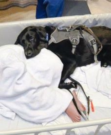 Przyjaźń chłopca chorego na autyzm i jego psa opiekuna