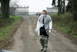 Mazowsze: po indykach - ptasia grypa u kur