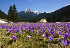 Najpiękniejsze miejsca w polskich Tatrach