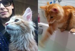 Anna Mucha: Wciąż walczy o sprawiedliwość!