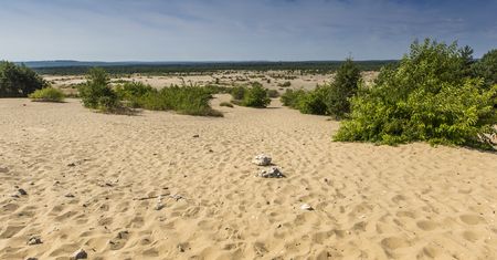 Pustynia Błędowska - skąd się wzięła polska Sahara?