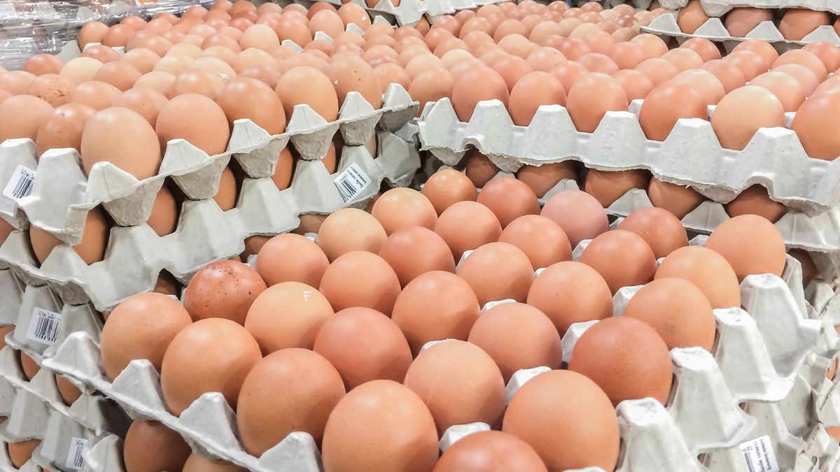 Polskie jajka ponownie pojawią się na Bliskim Wschodzie