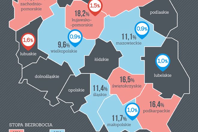 Polacy boją się tam żyć. Najgorsze miejsca w kraju