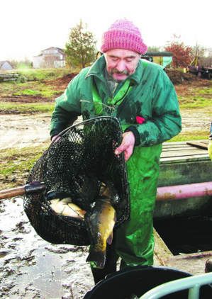 Droga rybka na święta