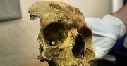 Makabryczne znalezisko w Płaszowie. Pies wykopał ludzką czaszkę