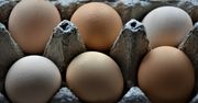 Przy zakupie wiele osób zwraca uwagę na kolor skorupki jaja. Uważają, że ma on duże znaczenie