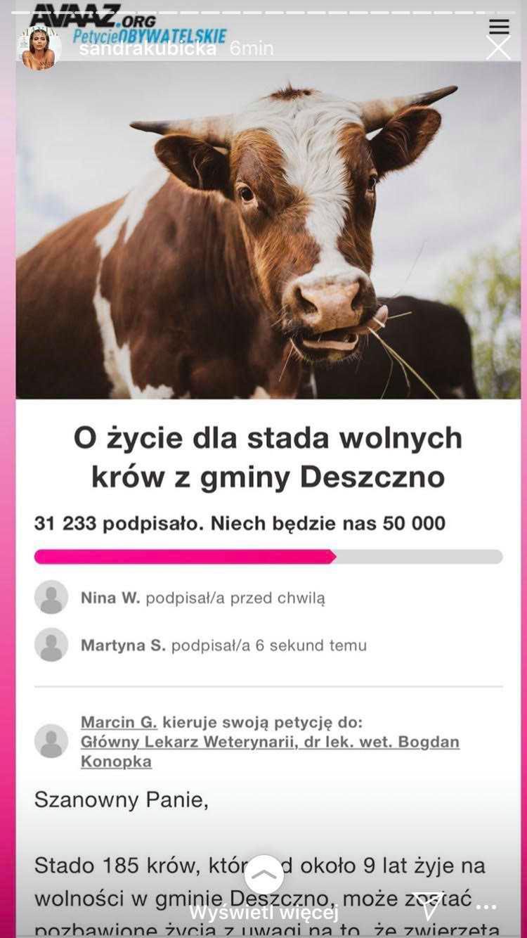 Sandra Kubicka - gwiazdy bronią wolnych krów