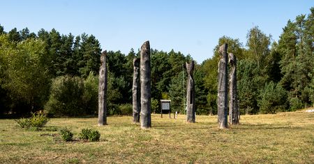 Jesień w Arboretum Leśnym w Zielonce – odkryj bogactwo przyrody