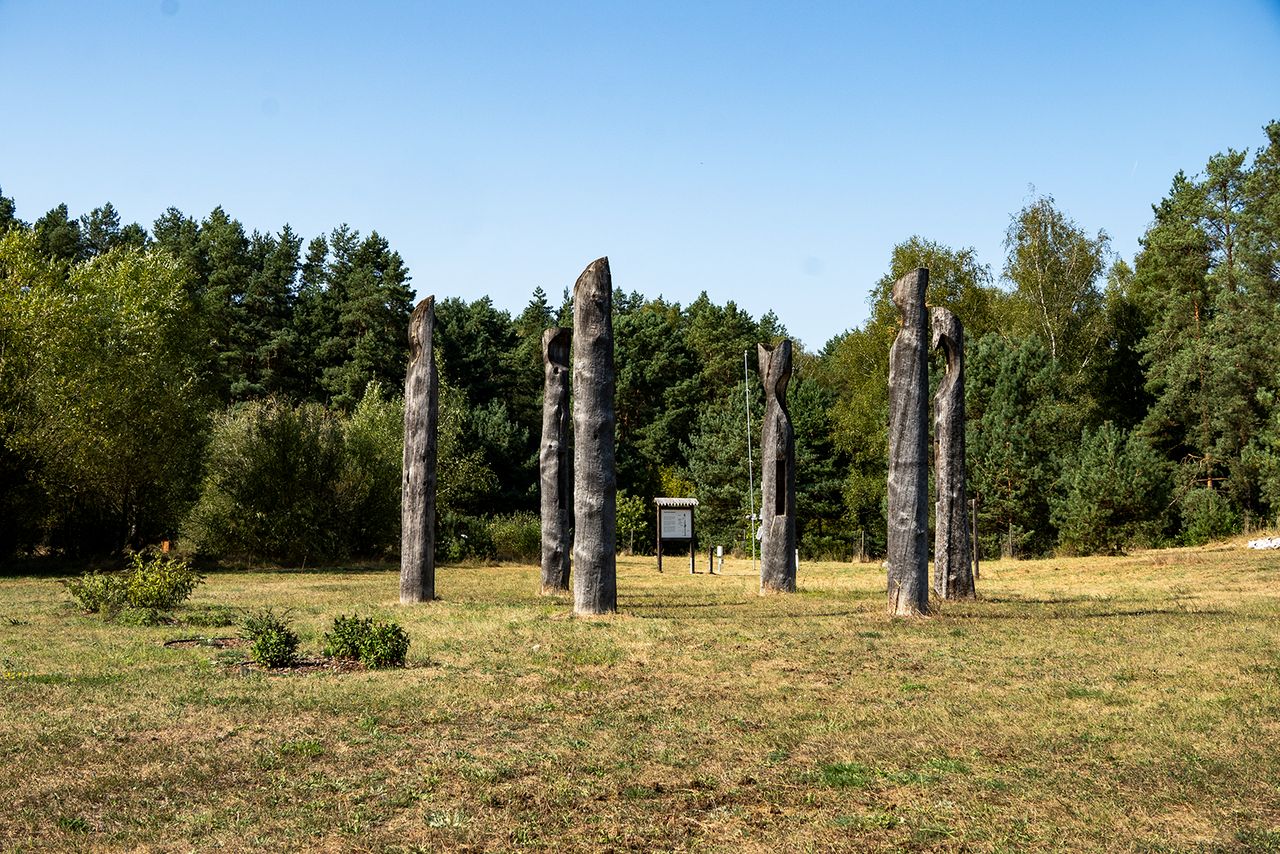 Jesień w Arboretum Leśnym w Zielonce – odkryj bogactwo przyrody