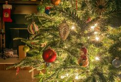 Naturalna, sztuczna, a może z wypożyczalni? To coraz popularniejsza opcja