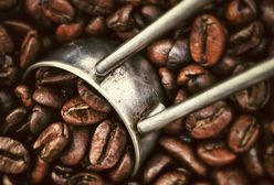 Fakty i mity o przechowywaniu kawy