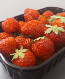 Drugi rzut truskawek. Ulubiony owoc Polaków powrócił na stragany