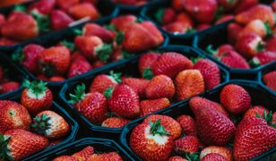 Rekordowo ciepła zima. Sezon na truskawki przyjdzie wcześniej