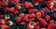 Rekordowo ciepła zima. Sezon na truskawki przyjdzie wcześniej