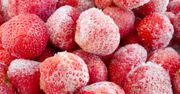 Już 15 osób zatruło się polskimi truskawkami w Szwecji. Tamtejsze służby: mogą być kolejne przypadki