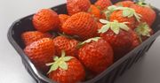 Drugi rzut truskawek. Ulubiony owoc Polaków powrócił na stragany