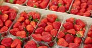 Jak przechowywać truskawki? Sposób Ewy Wachowicz