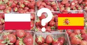 Jak rozpoznać polskie truskawki? Nie daj się oszukać producentom