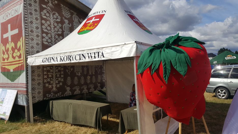 Na Dniach Truskawki w Korycinie w tym roku ciężko było dostać świeże owoce