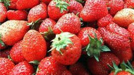 W Polsce po truskawkach pozostało tylko wspomnienie